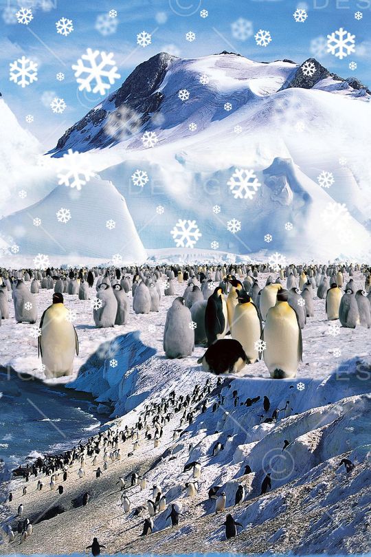 雪山印花华亿平台图片