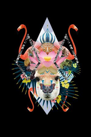 草泥马印花华亿平台图片