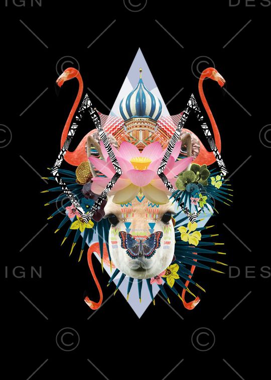 草泥马印花华亿平台图片