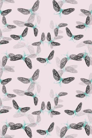 蝴蝶印花华亿平台图片