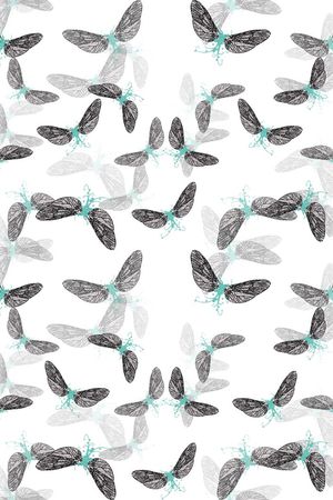 蝴蝶印花华亿平台图片