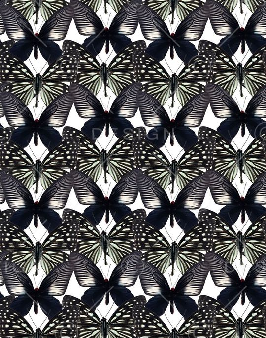 插画印花华亿平台图片