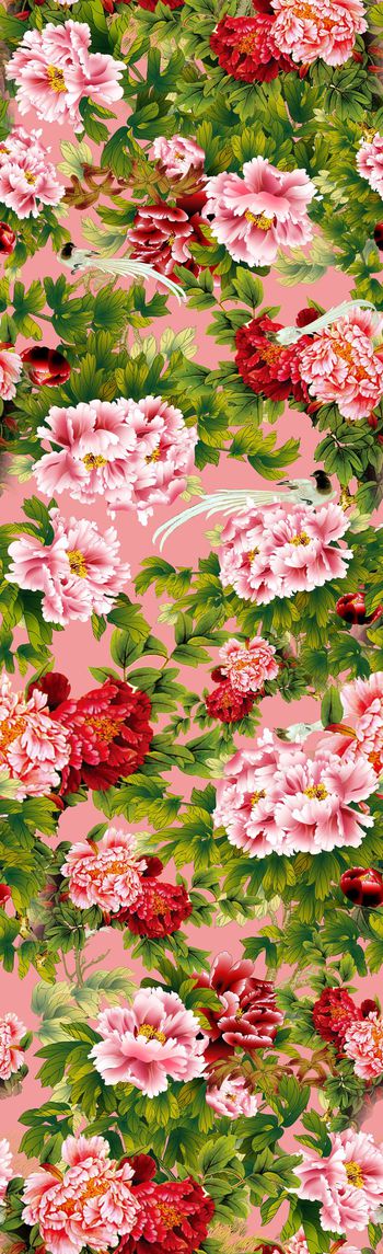 440514-中国风牡丹花卉，花鸟长巾