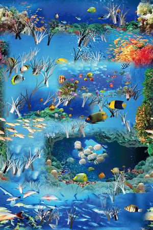 海洋生物印花华亿平台图片