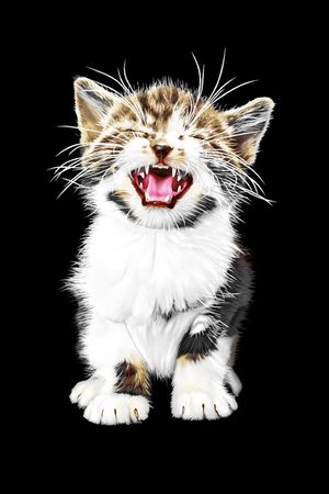 卡通印花华亿平台图片