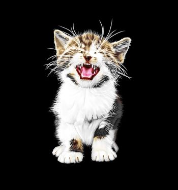 卡通印花华亿平台图片