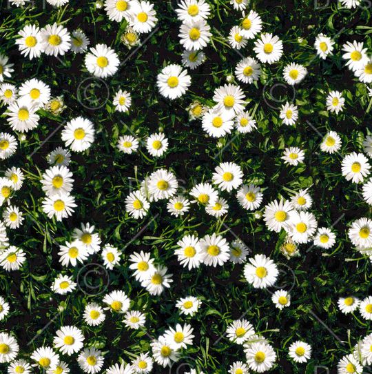 现代印花华亿平台图片