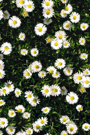 现代印花华亿平台图片