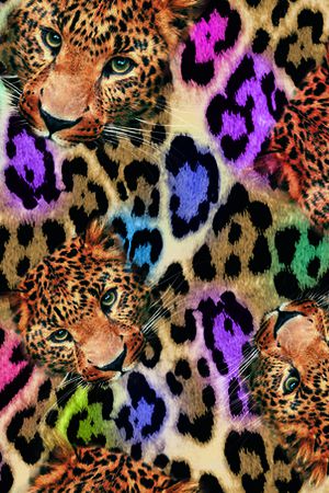 动物印花华亿平台图片