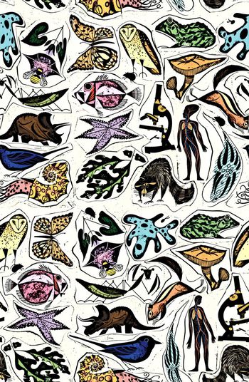 440792-手绘生命科学自然动物人物装饰画女装