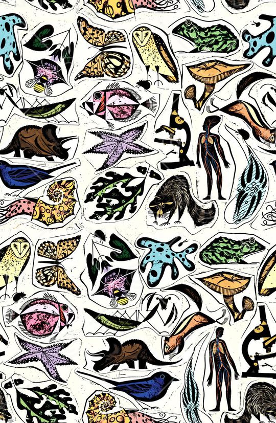 手绘印花华亿平台图片