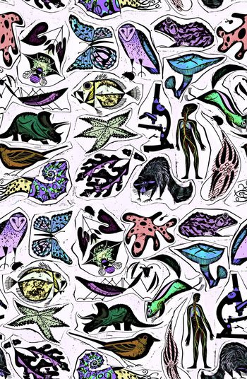 440793-手绘生命科学自然动物人物装饰画女装