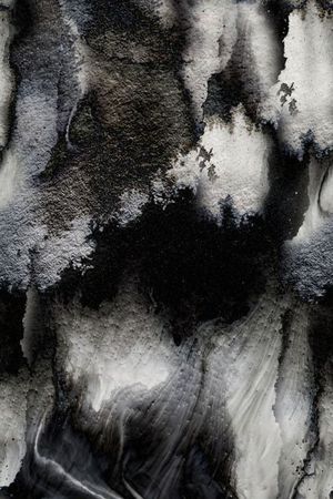 丝绸 真丝 棉布印花华亿平台图片