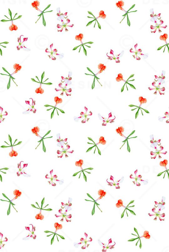 时尚简约印花华亿平台图片