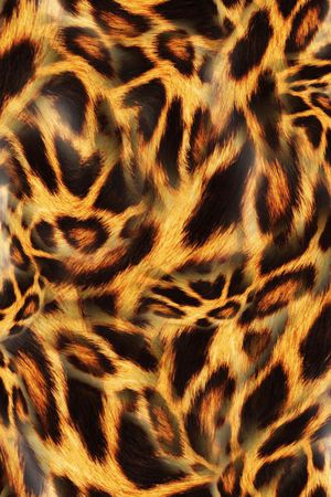 豹纹印花华亿平台图片