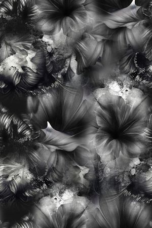 黑白印花华亿平台图片