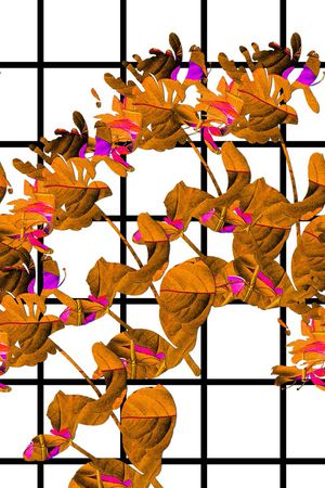 黑白印花华亿平台图片