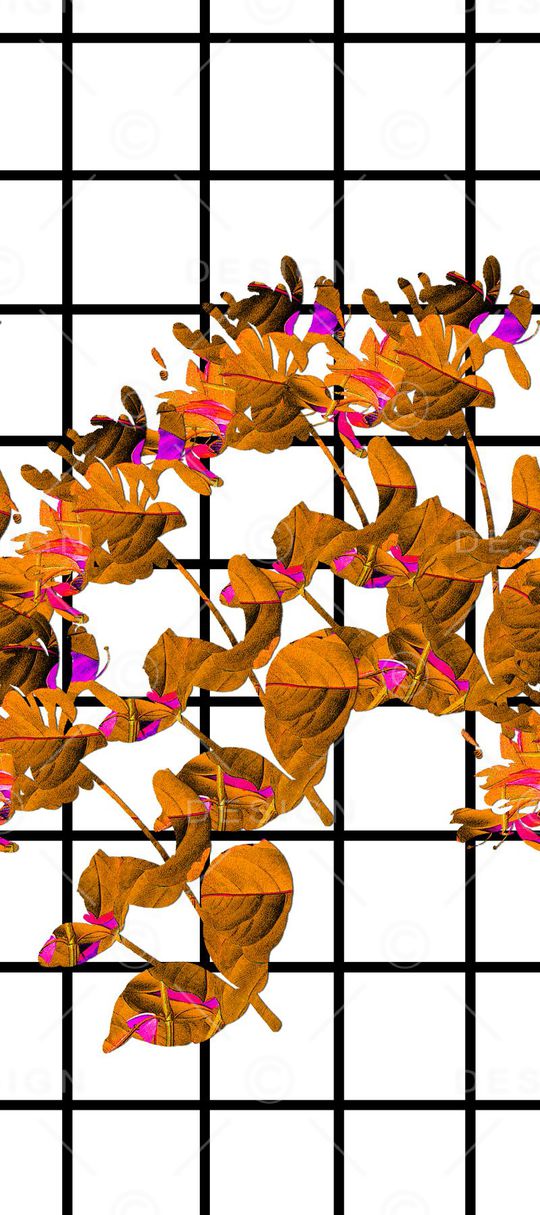 黑白印花华亿平台图片