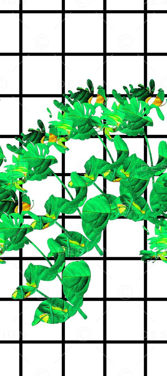 黑白印花华亿平台图片