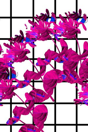 黑白印花华亿平台图片