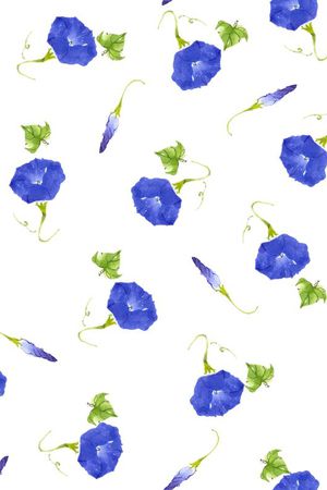 花瓣印花华亿平台图片