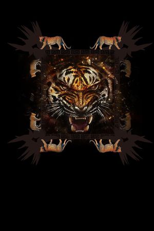 衬衫印花华亿平台图片