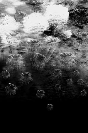 T恤印花印花华亿平台图片