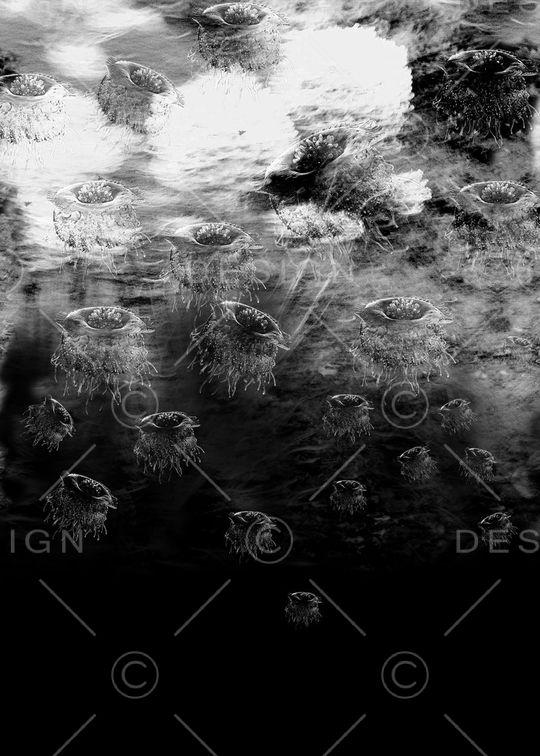 T恤印花印花华亿平台图片