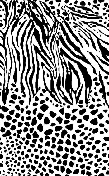 斑马线印花华亿平台图片