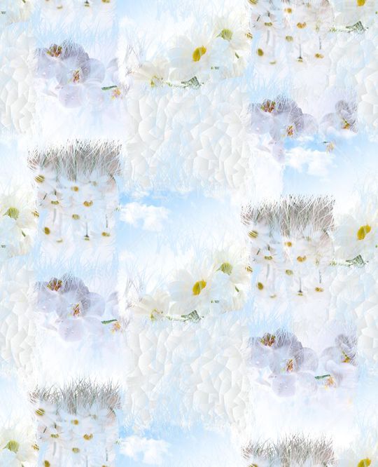 衬衫华亿平台印花华亿平台图片