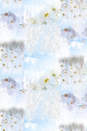 衬衫华亿平台印花华亿平台图片