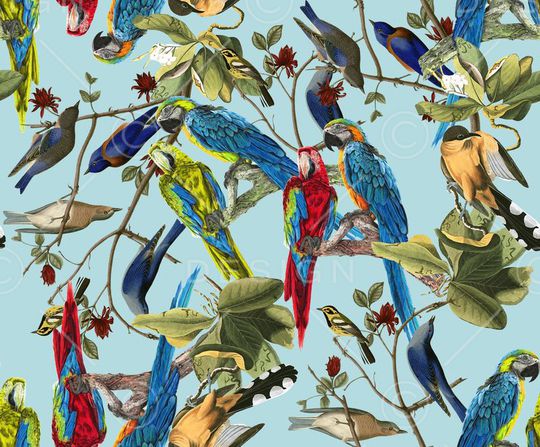 动物印花华亿平台图片