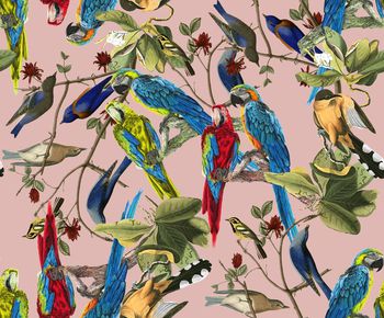 441746-	流行时尚热带雨林鸟动物数码印花3