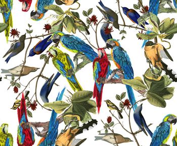 441749-	流行时尚热带雨林鸟动物数码印花3