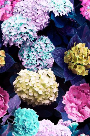 写实花卉印花华亿平台图片