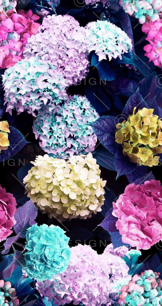 写实花卉印花华亿平台图片