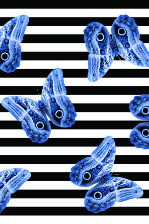 蝴蝶印花华亿平台图片