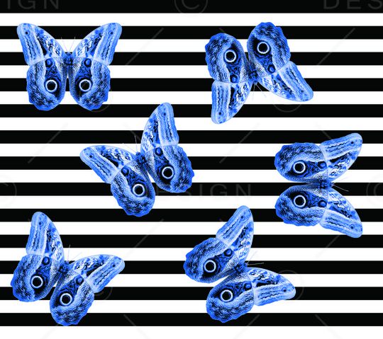 蝴蝶印花华亿平台图片