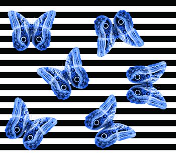 蝴蝶印花华亿平台图片