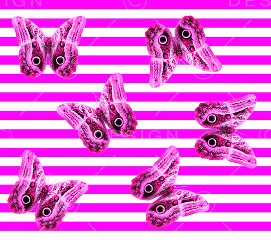 蝴蝶印花华亿平台图片