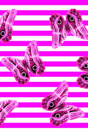 蝴蝶印花华亿平台图片