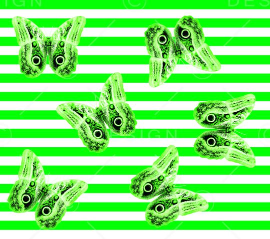 蝴蝶印花华亿平台图片