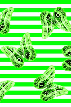 蝴蝶印花华亿平台图片