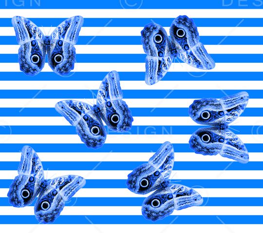 蝴蝶印花华亿平台图片