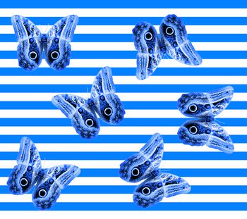 441893-蝴蝶，条子