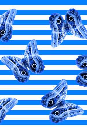 蝴蝶印花华亿平台图片