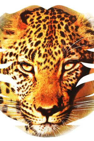 休闲印花华亿平台图片