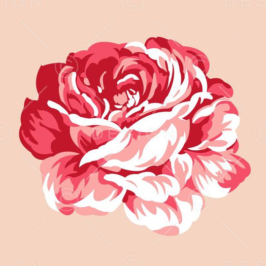 花卉图案印花华亿平台图片