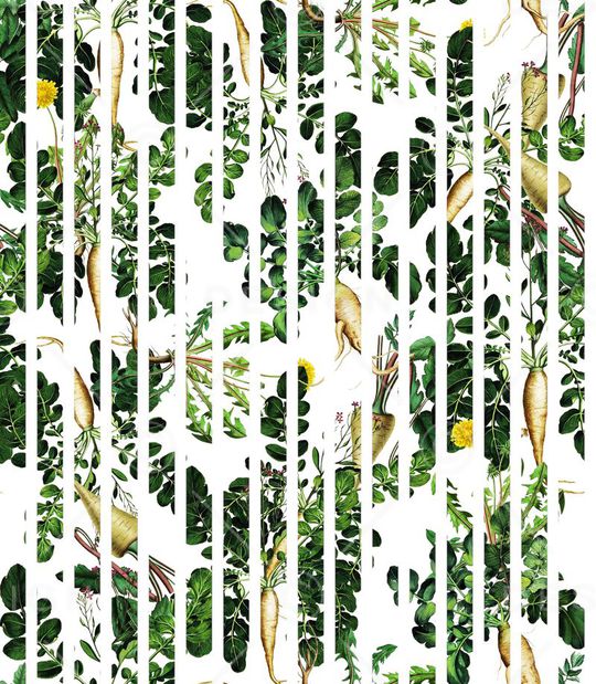 流行时尚印花华亿平台图片