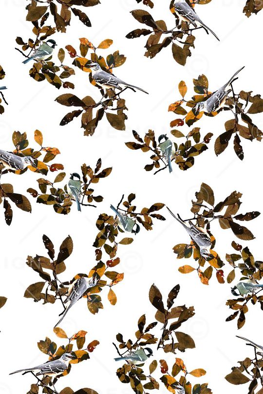 复古秋天树叶印花华亿平台图片